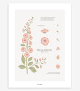 WILDFLOWERS - Affiche enfant - Rose trémière