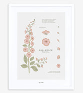 WILDFLOWERS - Affiche encadrée enfant - Rose trémière