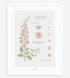 WILDFLOWERS - Affiche enfant - Rose trémière