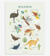 LIVING EARTH - Affiche enfant - Animaux de l'Océanie