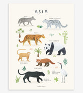 LIVING EARTH - Affiche enfant - Animaux d'Asie