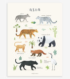 LIVING EARTH - Affiche enfant - Animaux d'Asie