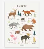 LIVING EARTH - Affiche enfant - Animaux d'Europe