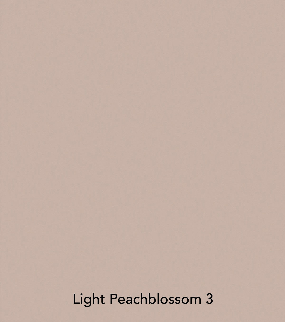 Peinture Little Greene - Light Peachblossom (3)