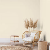 Peinture écologique Algo - Beige Amande Charmante