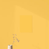 Échantillon Nuancier Jaune Magnifique