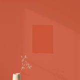 Échantillon Nuancier Brun écureuil