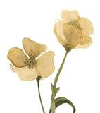 MADEMOISELLE - Lot de 4 affiches enfant - Fleurs botaniques