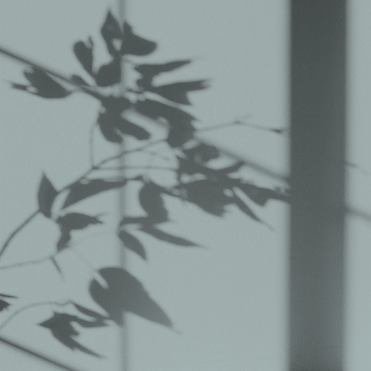 Certification Image