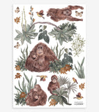 UTAN - Stickers muraux - Singes et plantes