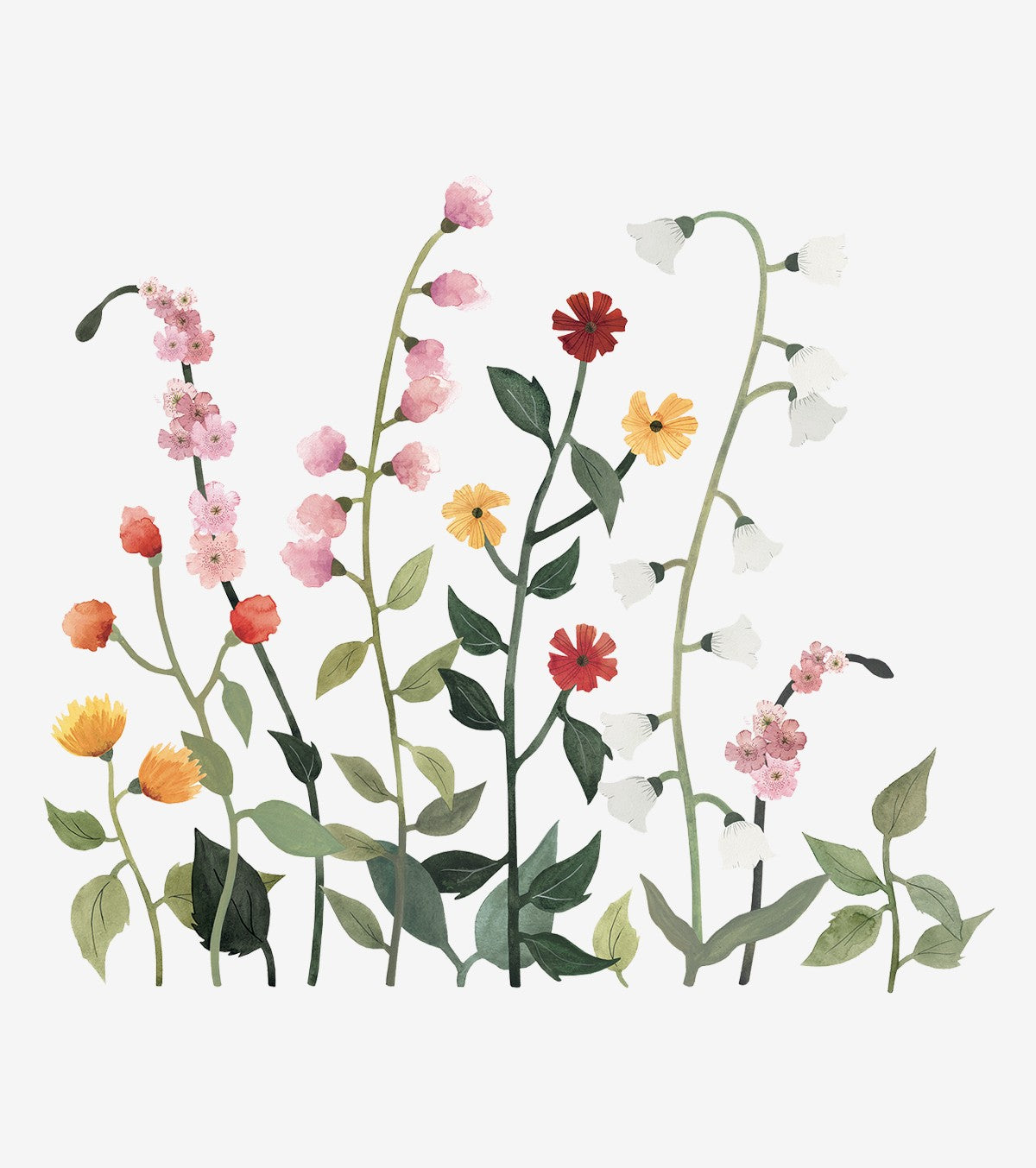 QUEYRAN - Grands stickers - Fleurs sauvages