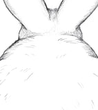 BUNNY - Affiche enfant - Lapin de dos