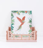 RIO - Affiche enfant - Perroquet et feuilles