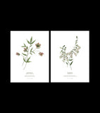 WELLINGTON - Lot de 2 affiches enfant - Fleurs, botanique
