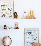 LIVING EARTH - Affiche enfant - Animaux Amérqiue du nord