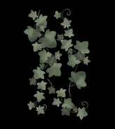 NORWOOD - Grand sticker - Guirlande feuilles de chêne