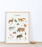 LIVING EARTH - Affiche enfant - Animaux d'Europe