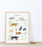 LIVING EARTH - Affiche enfant - Animaux d'Asie
