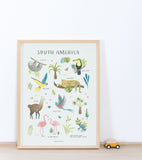 LIVING EARTH - Affiche enfant - Animaux Amérique du sud