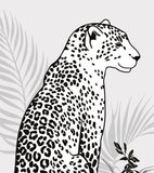 BLACK MAJIK - Lot de 2 affiches enfant - Léopard