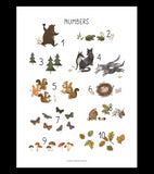 NORWOOD – Affiche Enfant - Animaux des bois Chiffres