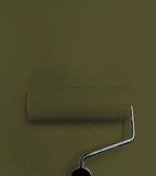 Peinture Little Greene - Olive foncé (72)