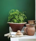 Peinture Little Greene - Dark Brunswick Green (88)