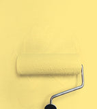 Peinture Little Greene - Carys (148)