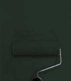 Peinture Little Greene - Obsidian Green (216)
