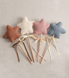 Déguisement - Couronne et baguette magique, écru