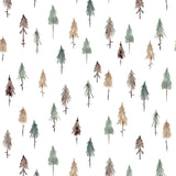 KHARU - Échantillon papier peint, forêts de pins