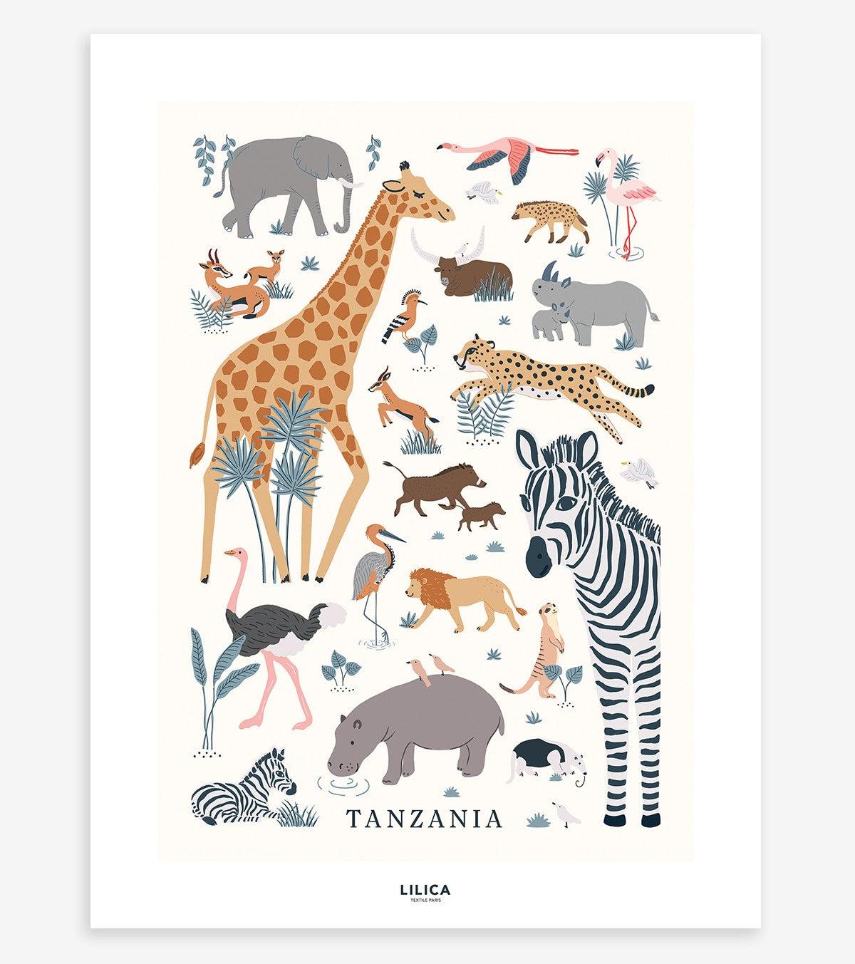 TANZANIA - Affiche enfant - Les animaux sauvages