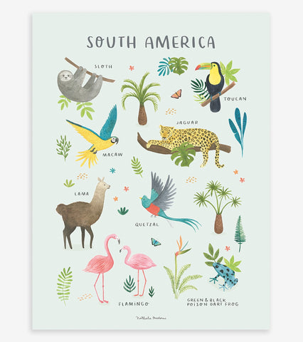 LIVING EARTH - Affiche enfant - Animaux Amérique du sud