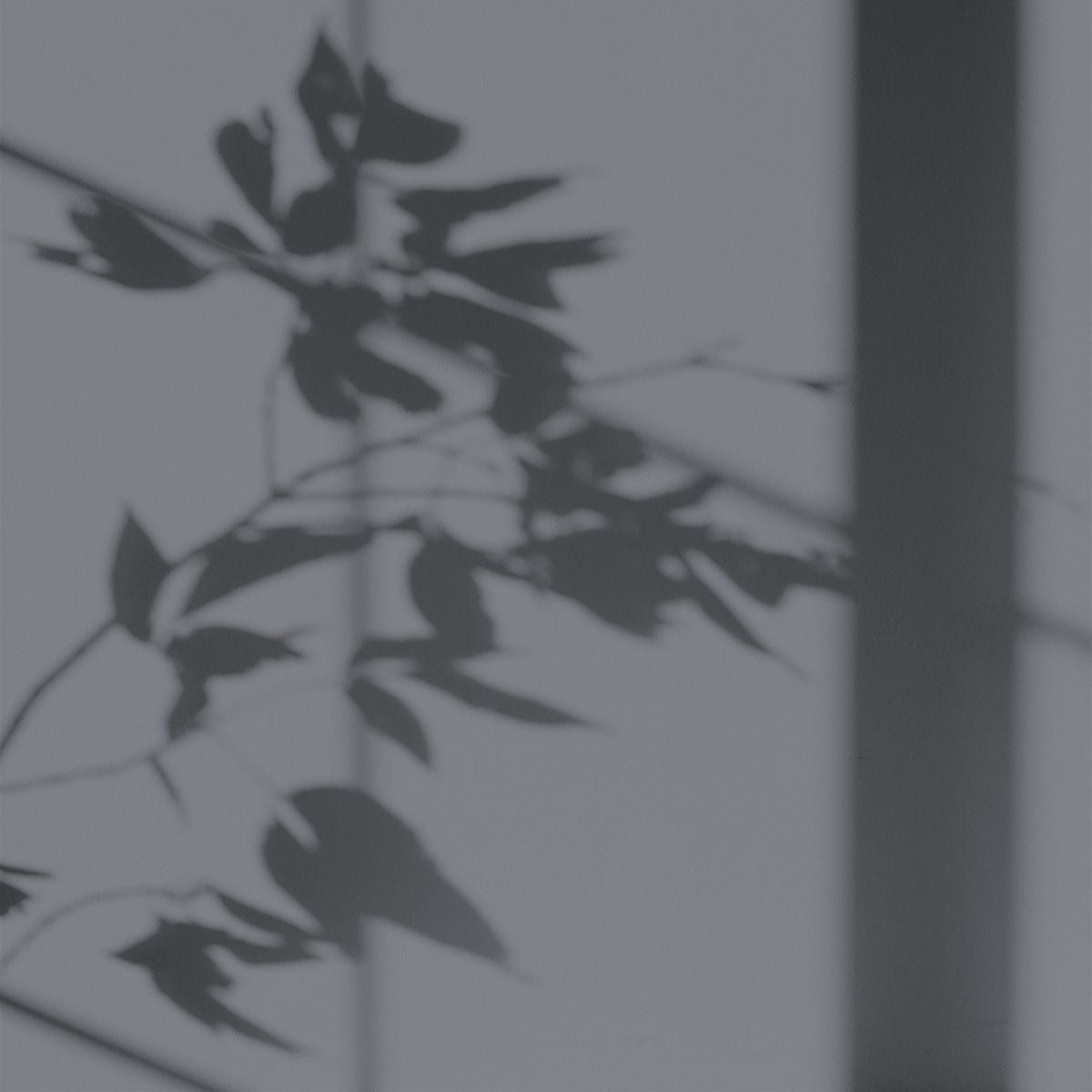 Peinture écologique Algo - Gris Chaud des Açores