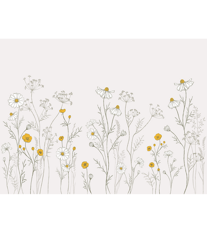 CHAMOMILE - Papier peint panoramique - Fleurs de camomille