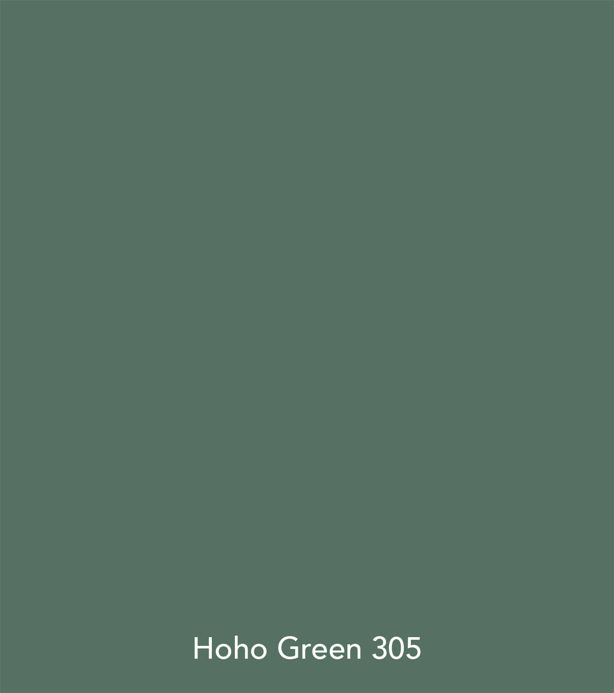 Peinture Little Greene - Hoho Green (305)