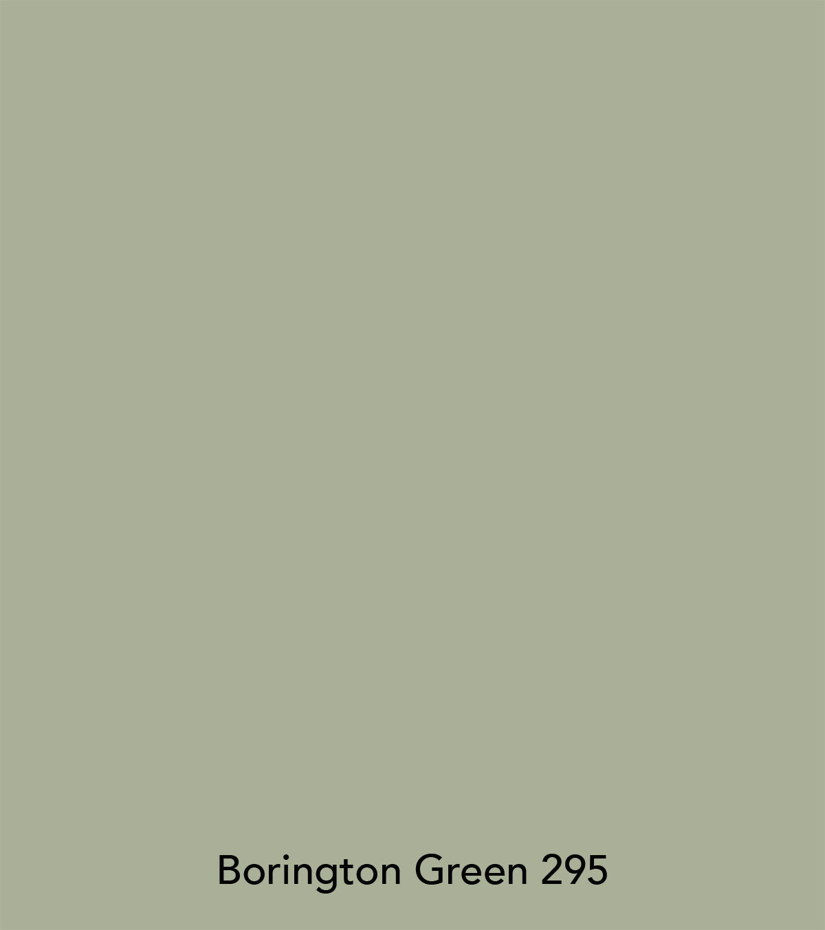 Peinture Little Greene - Borington green (295)