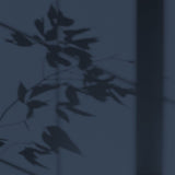 Peinture écologique Algo - Traversée de Nuit