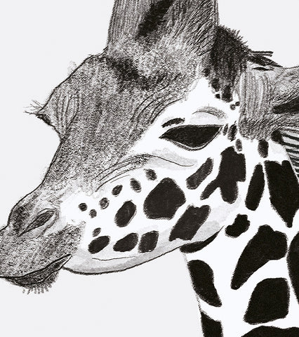 SERENGETI - Affiche enfant - La girafe