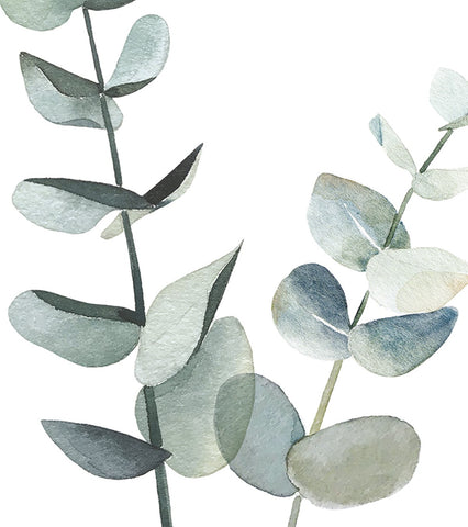 GREENERY - Affiche enfant - Tiges d'eucalyptus