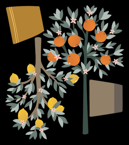 LOUISE - Grand sticker - Oranger et citronnier