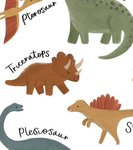 SUNNY – Affiche Enfant - Les espèces de dinosaures